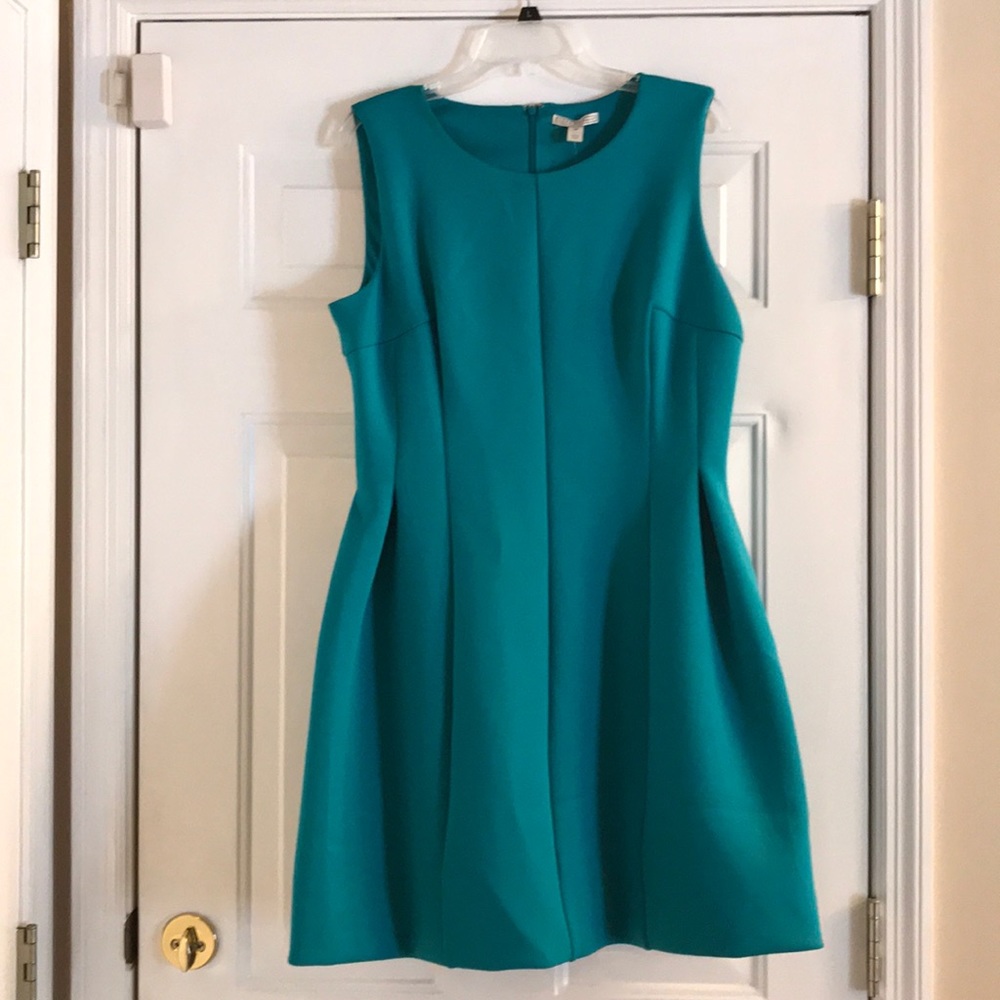 Dana Buchanan Brand New Dress